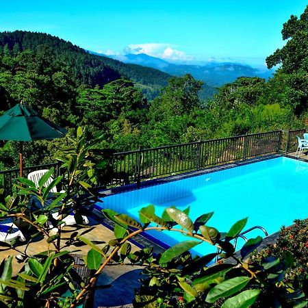 Bed and Breakfast The Grand Hills Kandy Zewnętrze zdjęcie