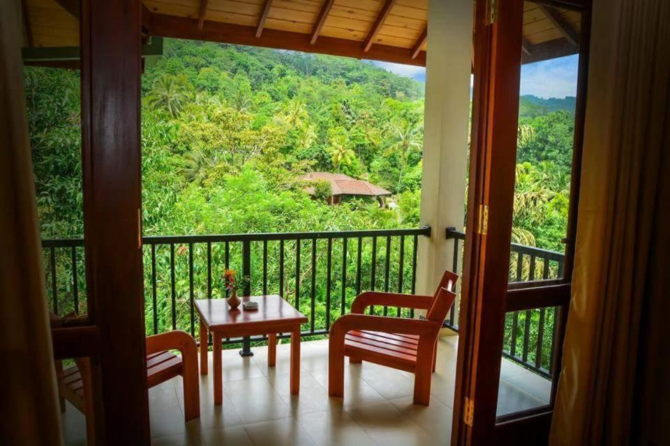 Bed and Breakfast The Grand Hills Kandy Zewnętrze zdjęcie